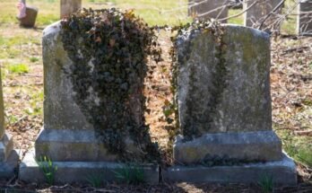 Adults Ignore Grandpa’s Neglected Grave, Boy Cleans It and Finds Engraved Coordinates – Story of the Day