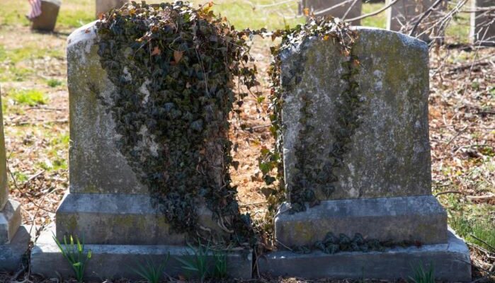 Adults Ignore Grandpa’s Neglected Grave, Boy Cleans It and Finds Engraved Coordinates – Story of the Day