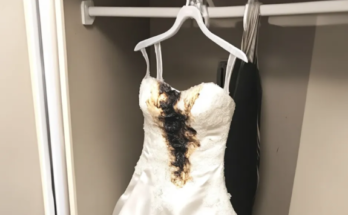 I Found My Wedding Dress Ruined with an Iron – I Was Dumbfounded When I Learned Who Did It, and My Revenge Was Harsh